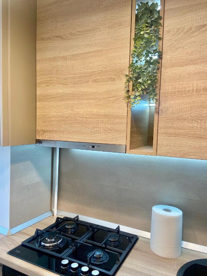 Lazar Loft Apartment Яш Екстериор снимка