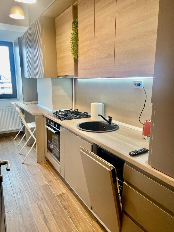 Lazar Loft Apartment Яш Екстериор снимка
